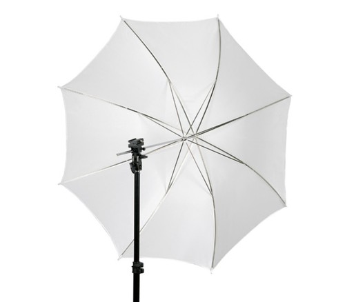 Studio durchlichtschirm innen - studio,